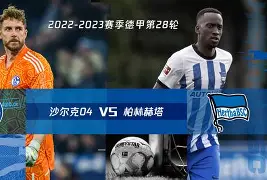 柏林赫塔对阵纽伦堡